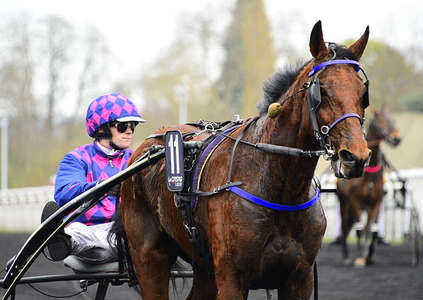 Actualités Hippiques